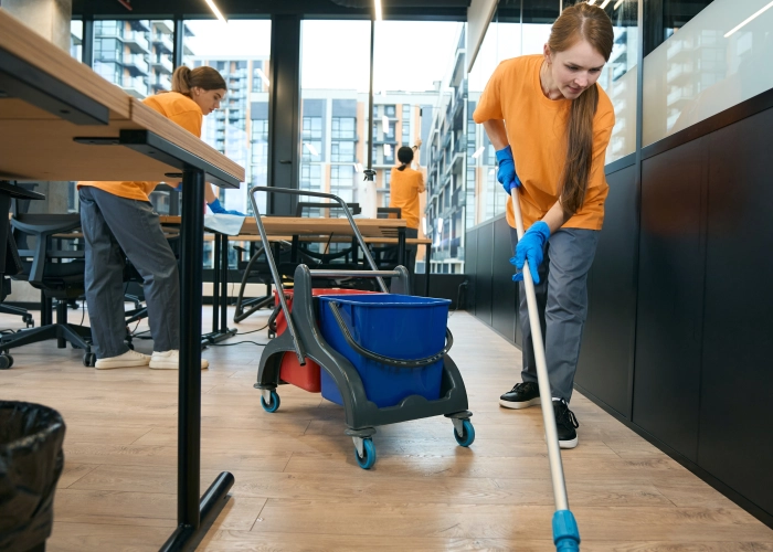 Limpieza de oficinas en Álava 01001