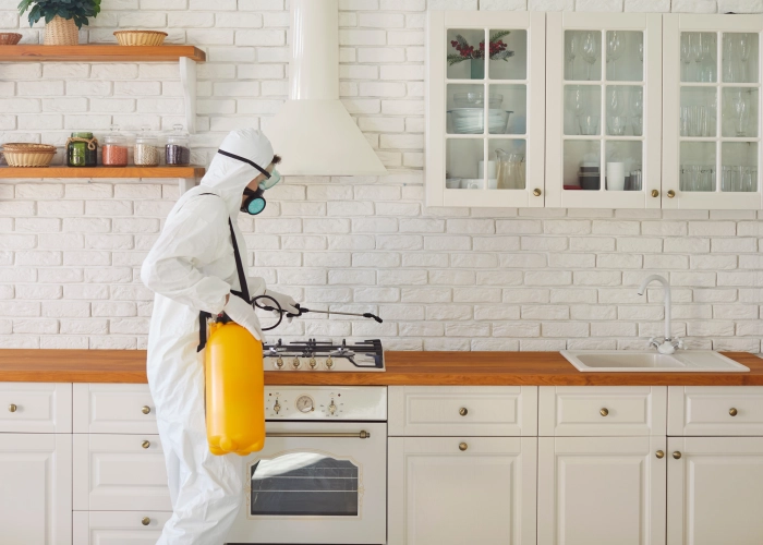 Tratamiento contra chinches en Monzón 22400