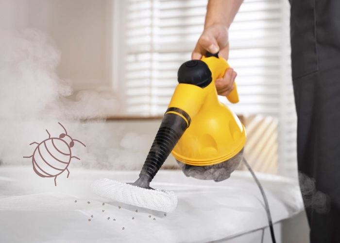 Tratamiento contra chinches en Zaragoza 50015